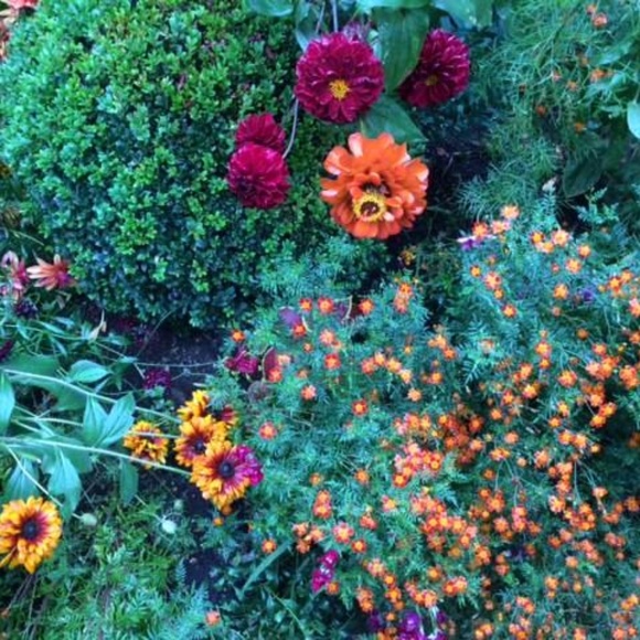 Meet your Posher, Ky - Picture 7 of 8